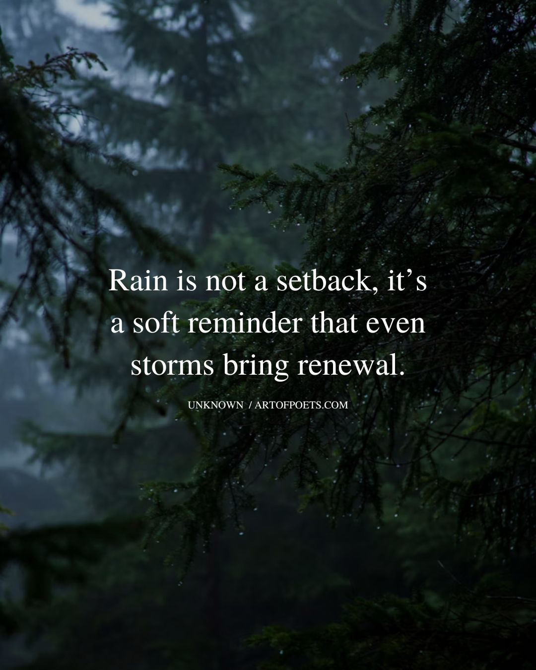 Rain is not a setback its a soft reminder that even storms bring renewal