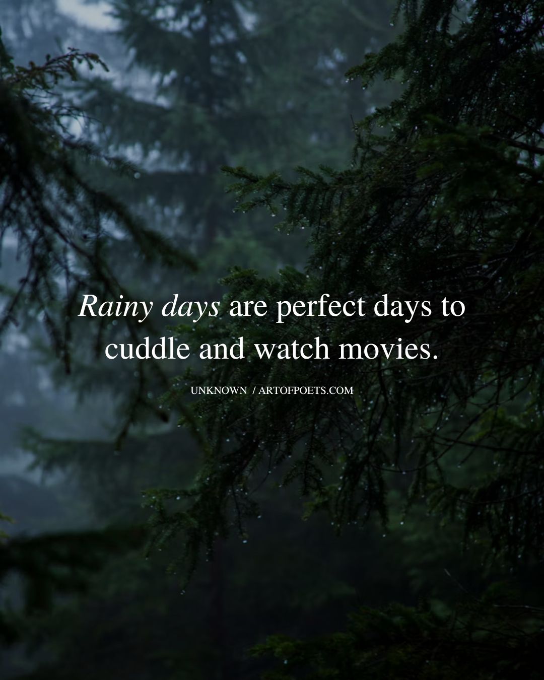 Rainy days are perfect days to cuddle and watch movies