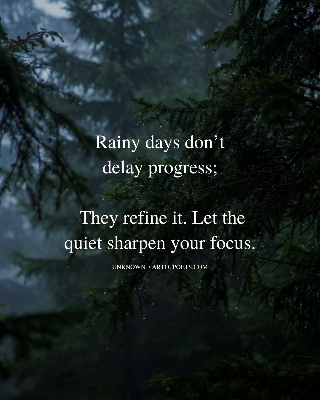 Rainy days dont delay progress—they refine it. Let the quiet sharpen your focus