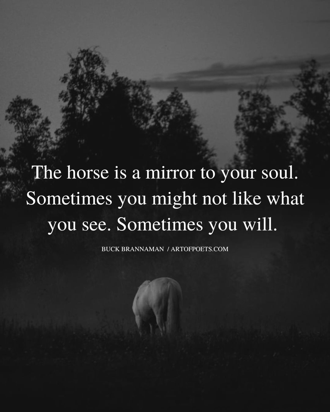 The horse is a mirror to your soul. Sometimes you might not like what you see. Sometimes you will. Buck Brannaman