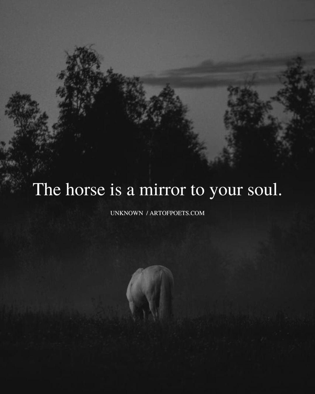 The horse is a mirror to your soul