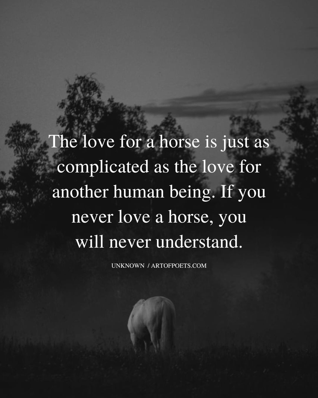The love for a horse is just as complicated as the love for another human being 2