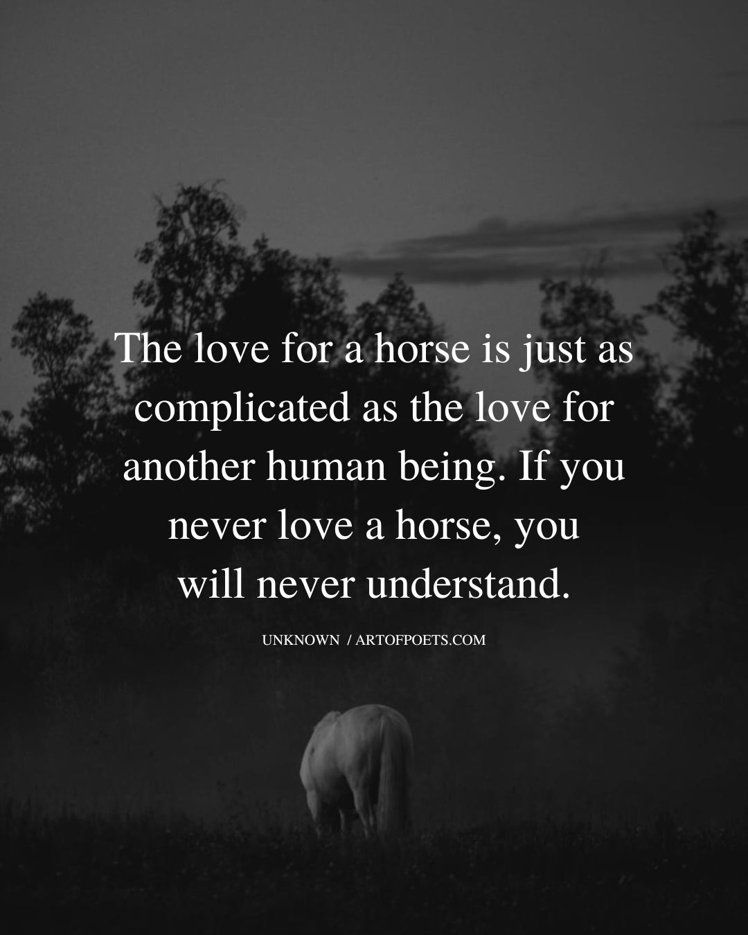 The love for a horse is just as complicated as the love for another human being