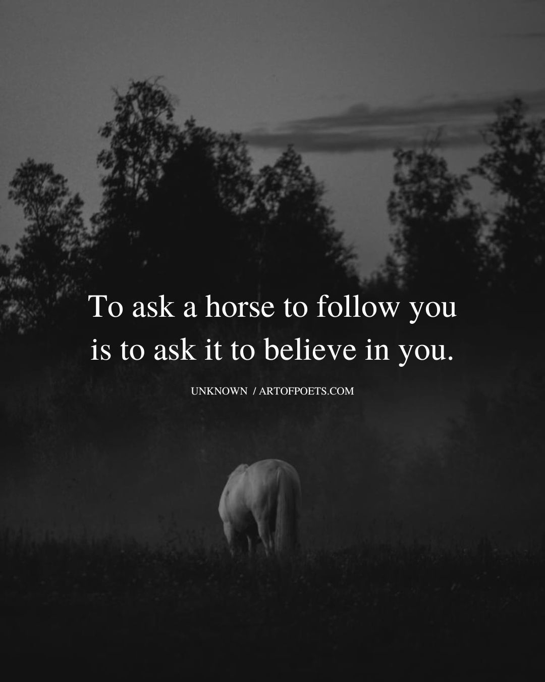 To ask a horse to follow you is to ask it to believe in you