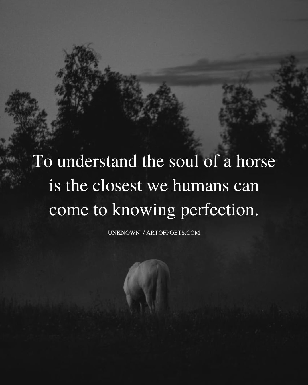 To understand the soul of a horse is the closest we humans can come to knowing perfection