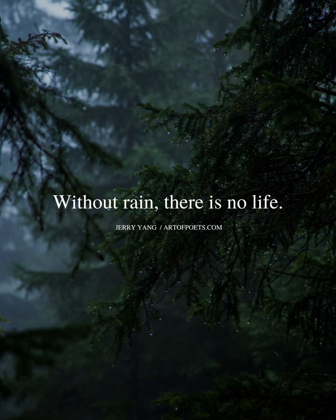 Without rain there is no life. Jerry Yang