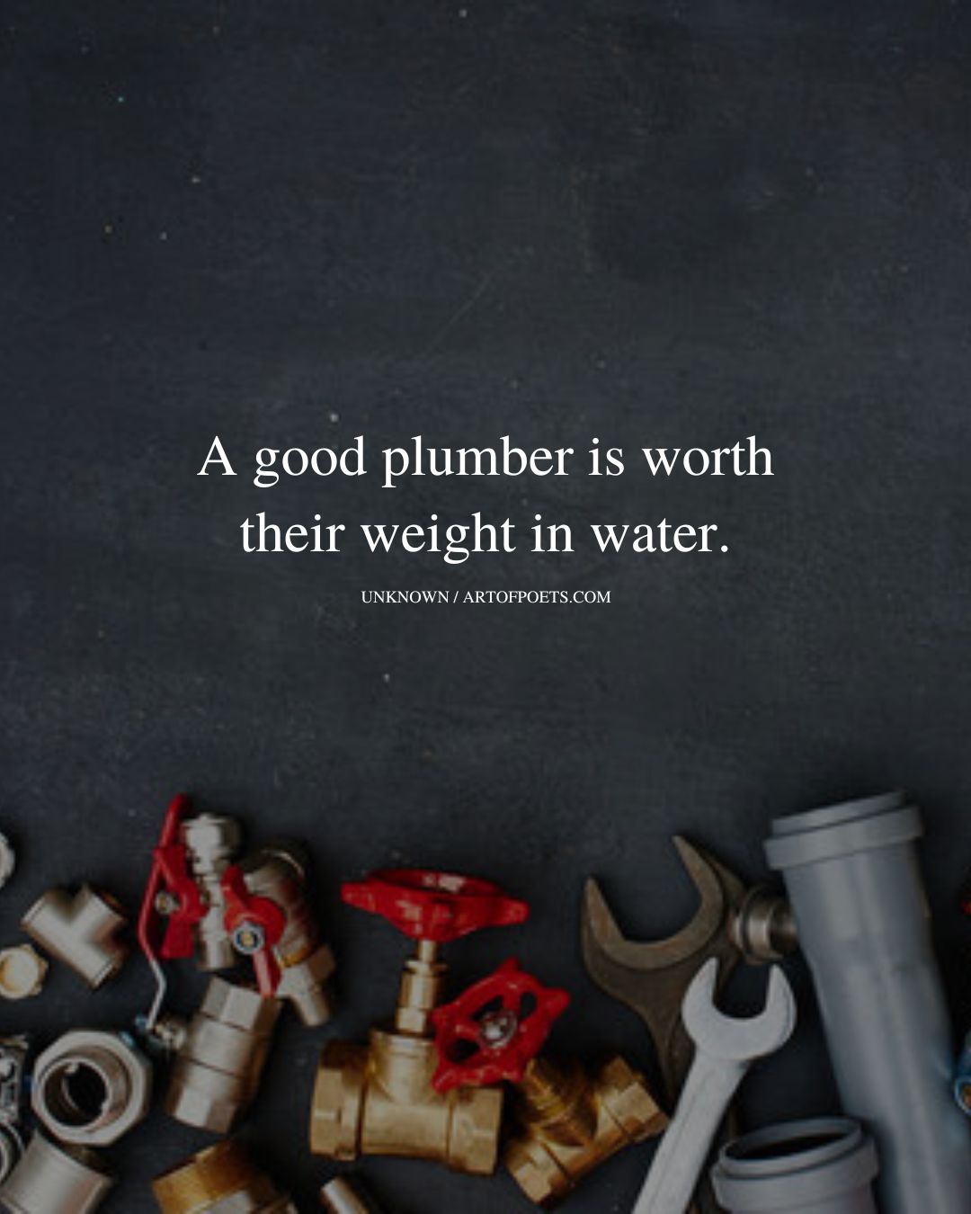 A good plumber is worth their weight in water