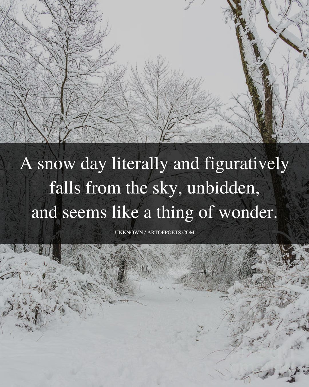 A snow day literally and figuratively falls from the sky unbidden