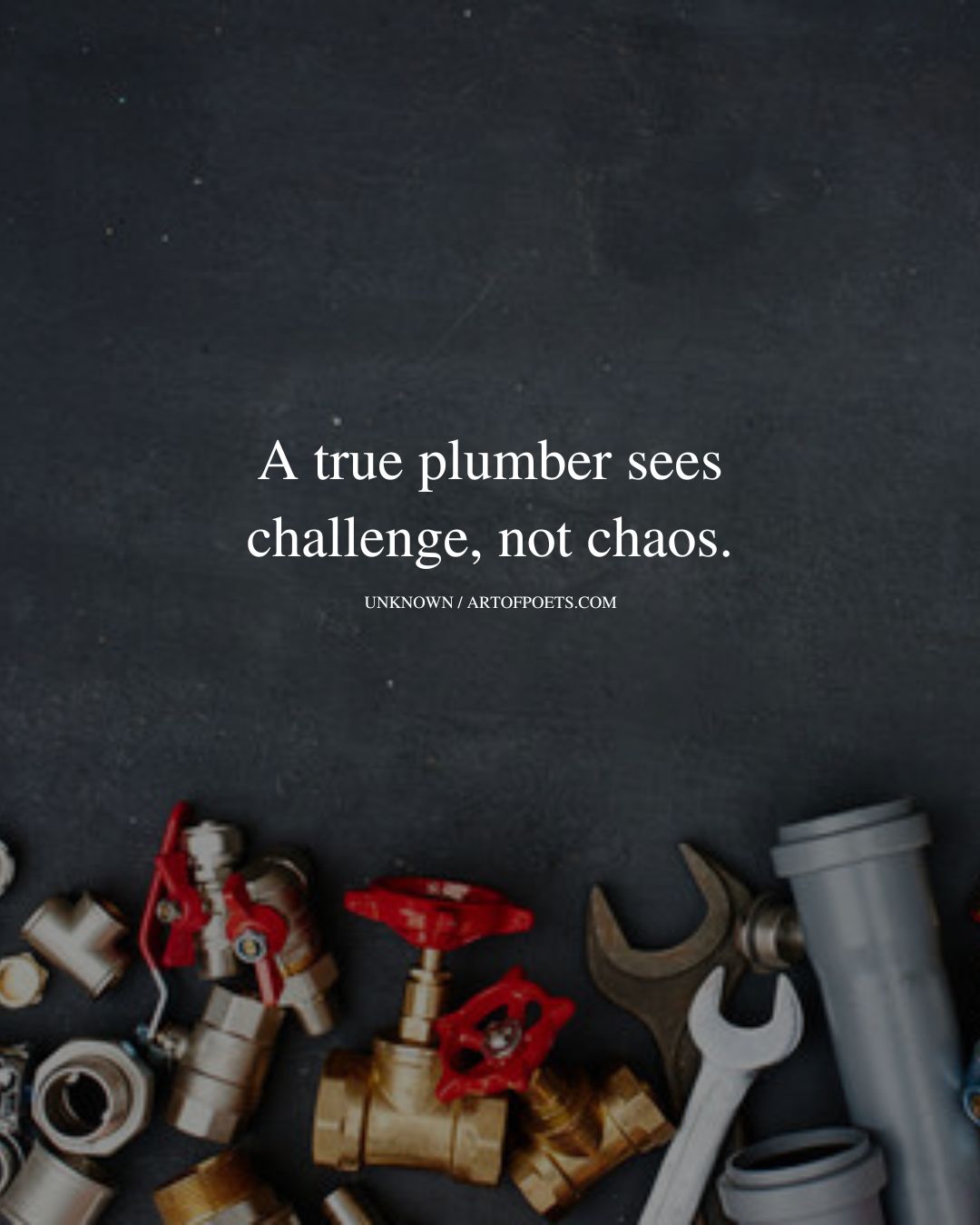 A true plumber sees challenge not chaos