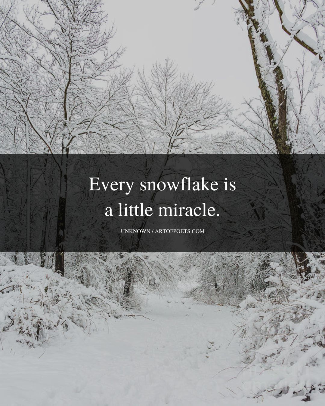Every snowflake is a little miracle