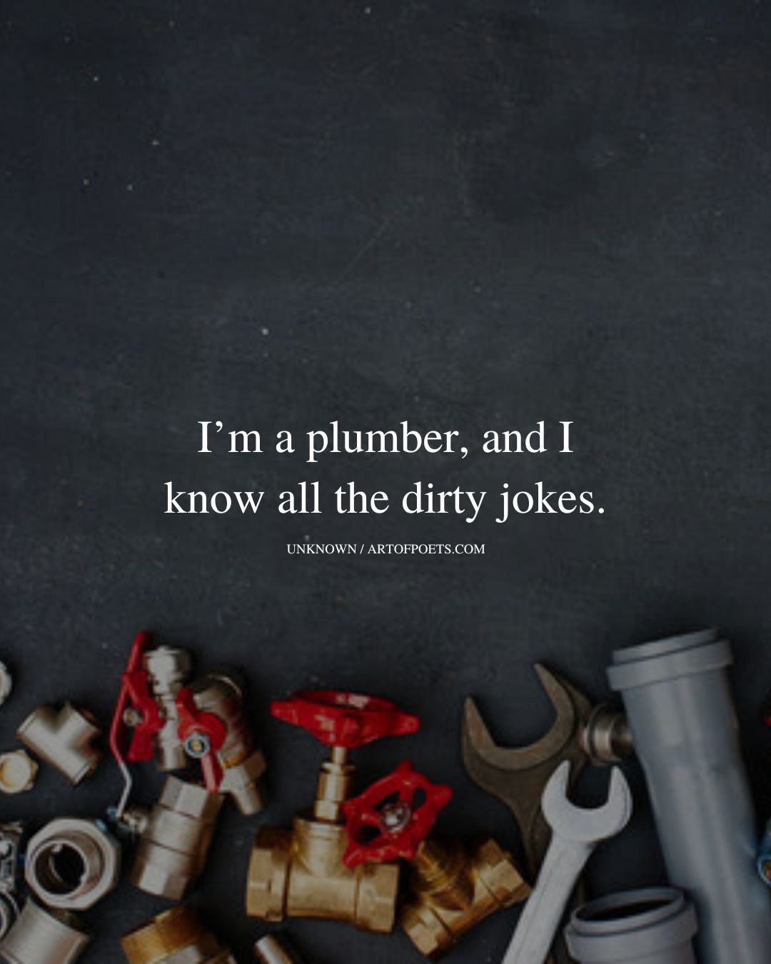 Im a plumber and I know all the dirty jokes