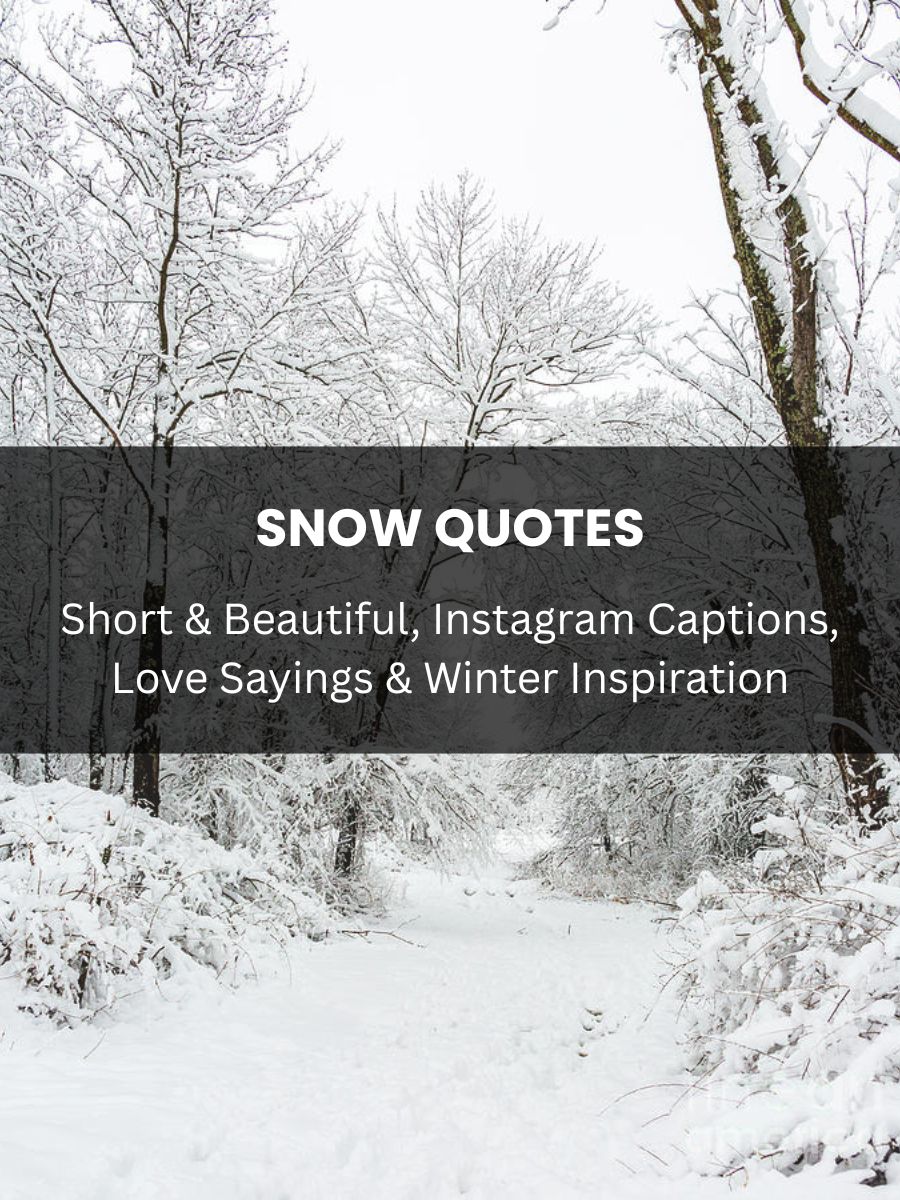 Snow Quotes Featured Image