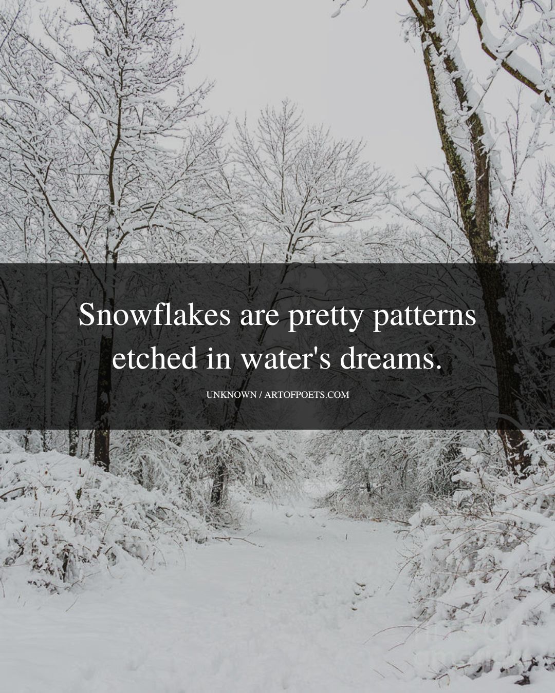 Snowflakes are pretty patterns etched in waters dreams