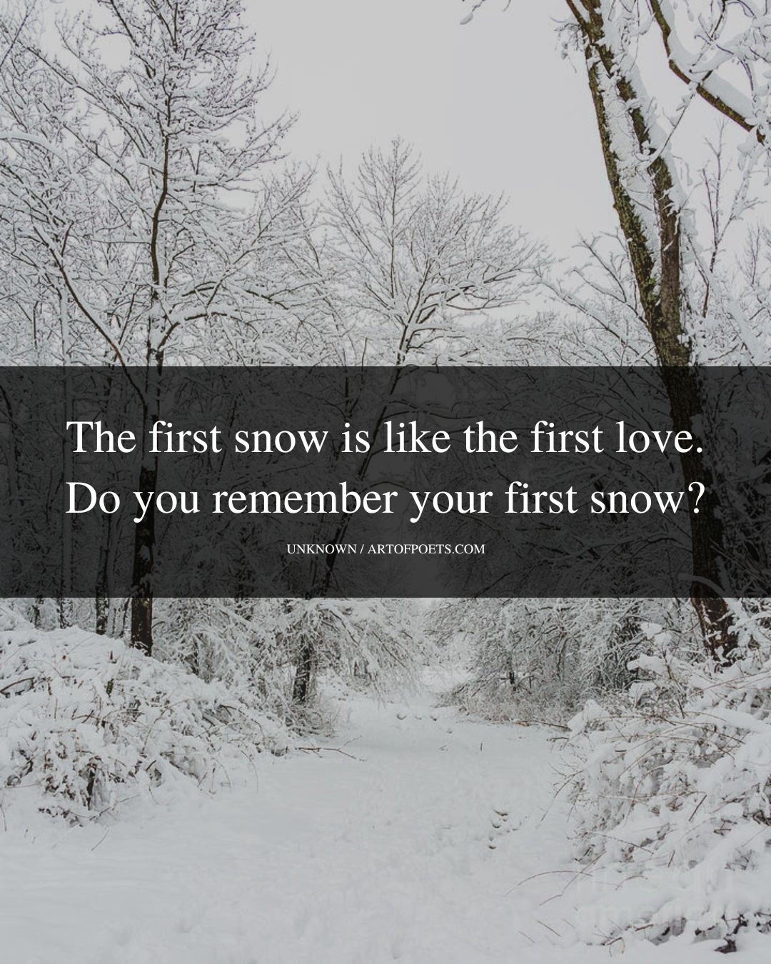 The first snow is like the first love. Do you remember your first snow