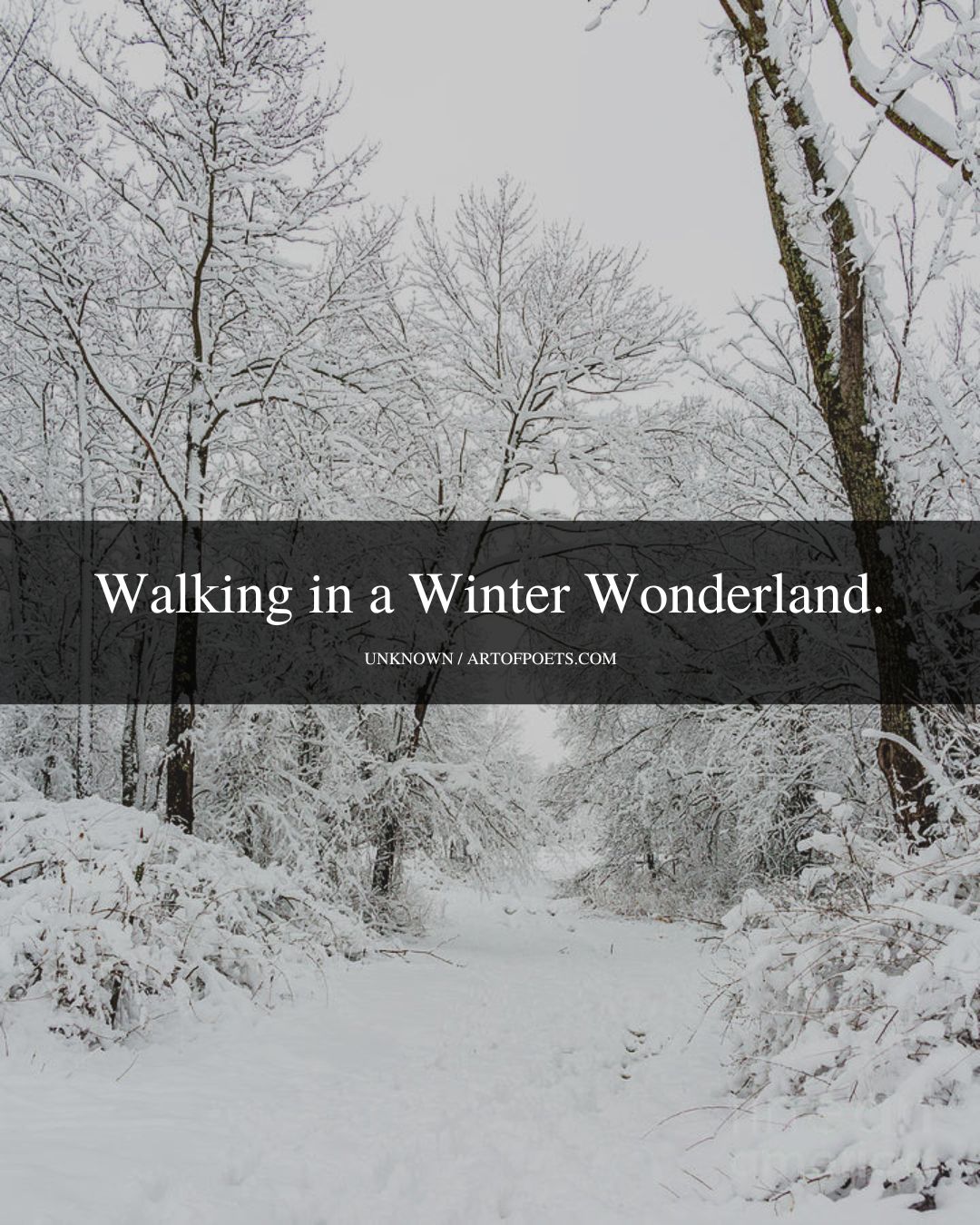 Walking in a Winter Wonderland