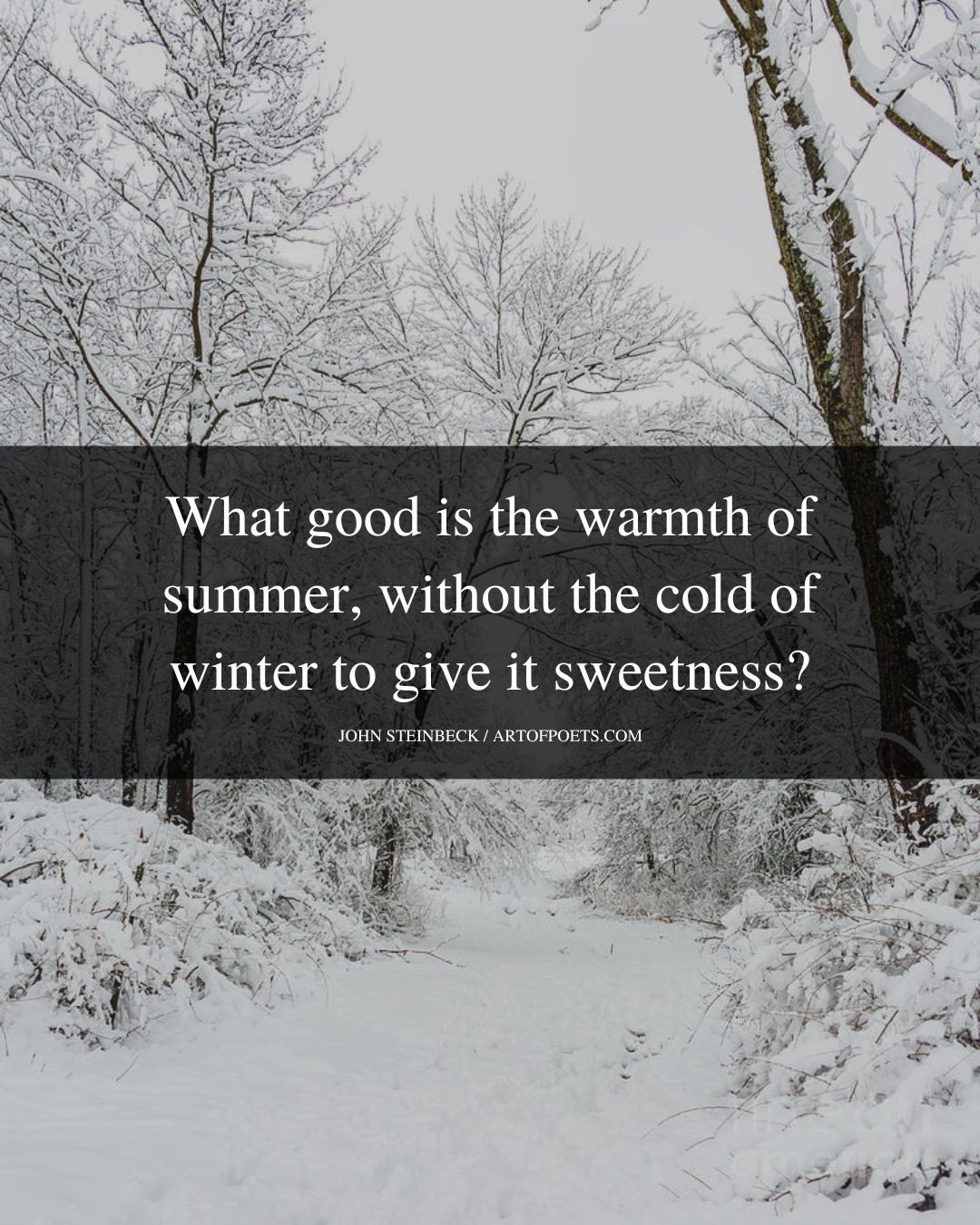 What good is the warmth of summer without the cold of winter