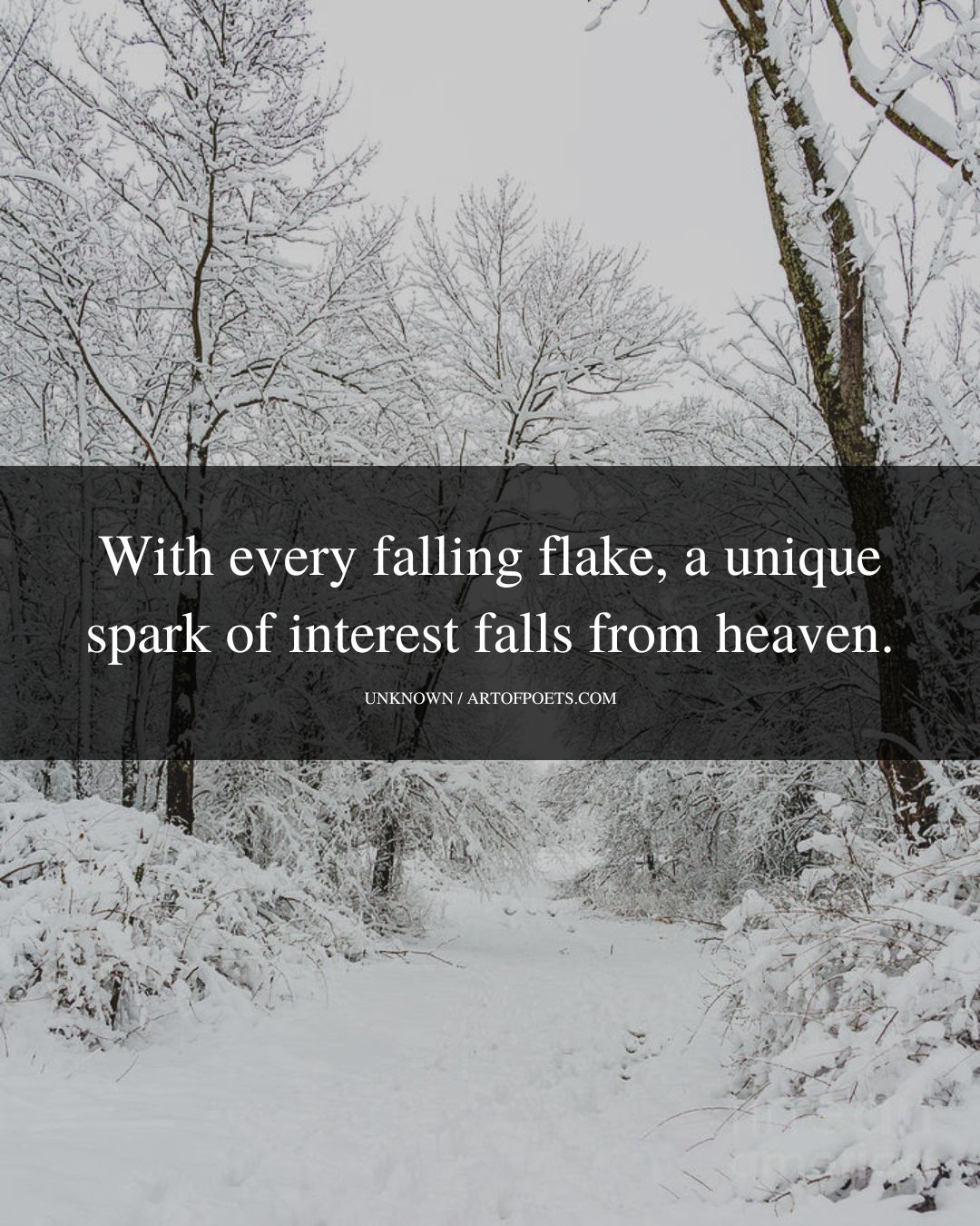 With every falling flake a unique spark of interest falls from heaven