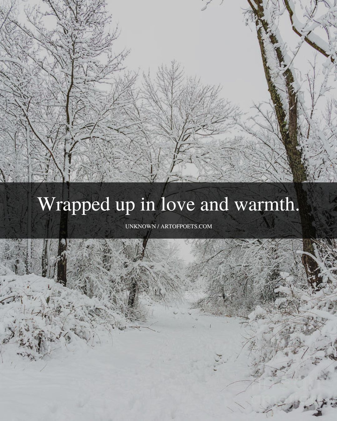 Wrapped up in love and warmth