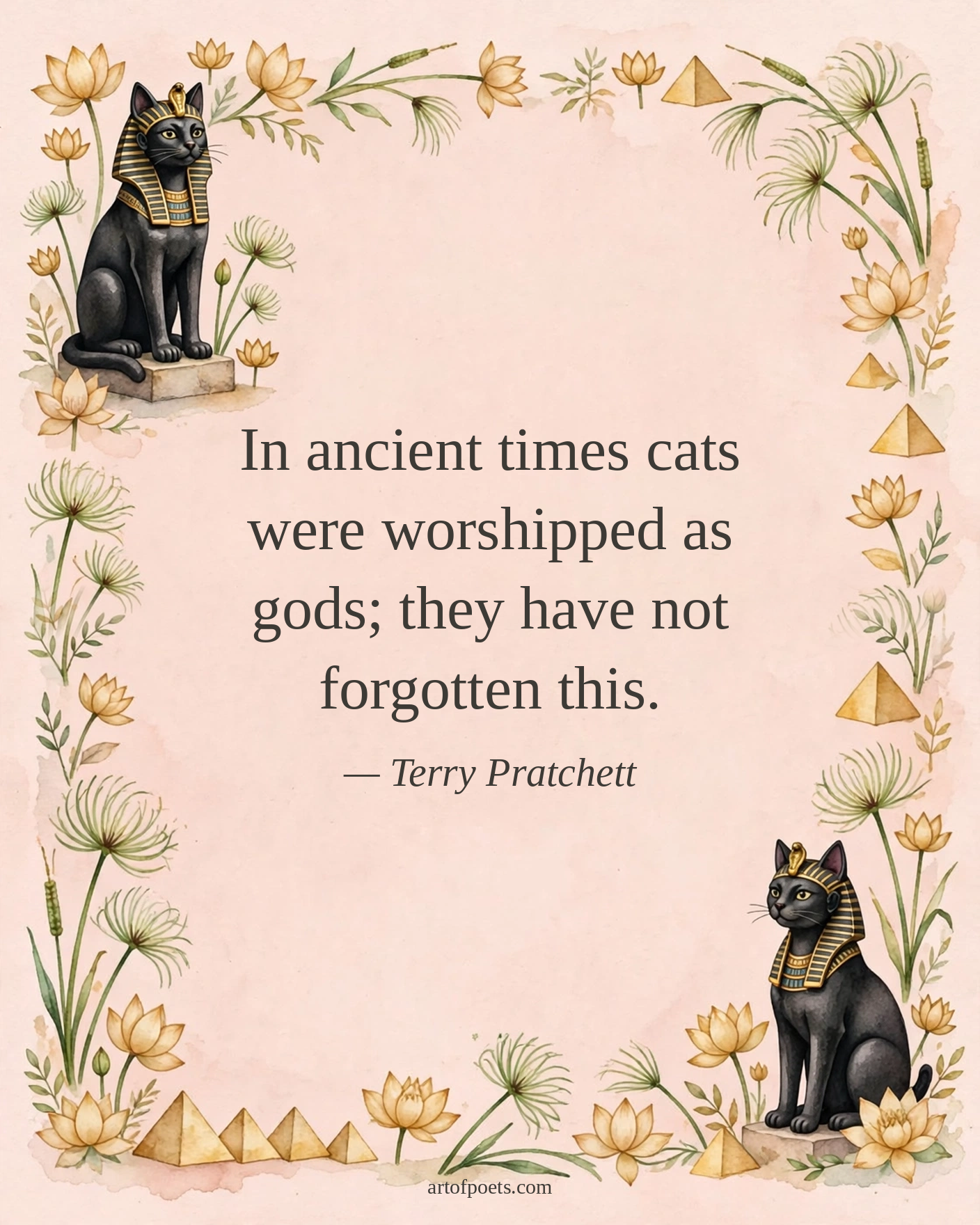Cat quote
