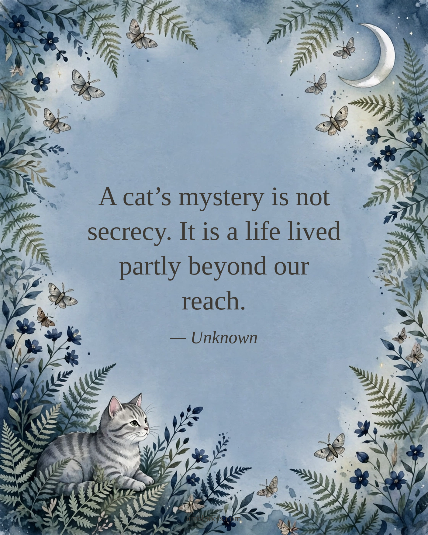 Cat quote