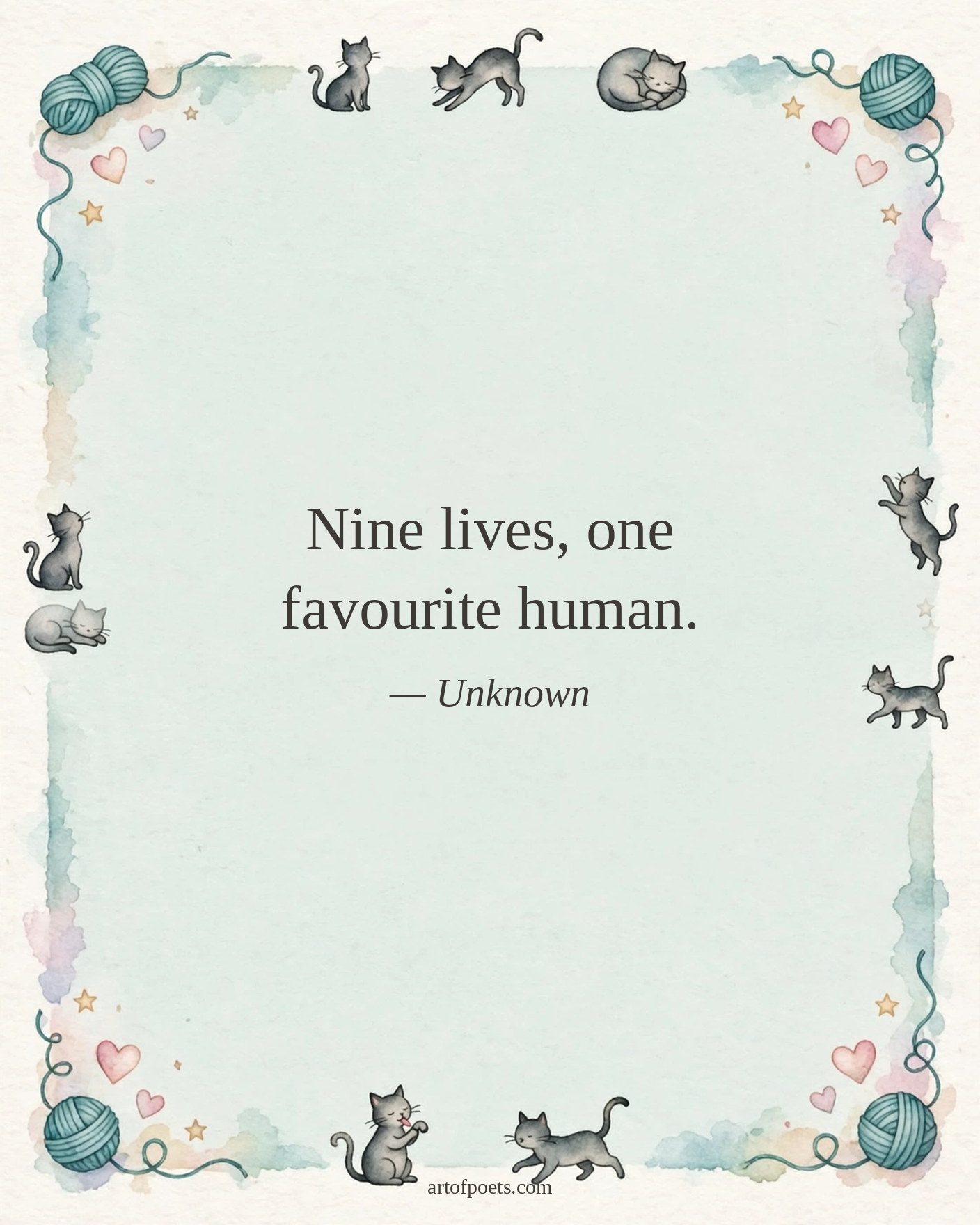 Cat quote