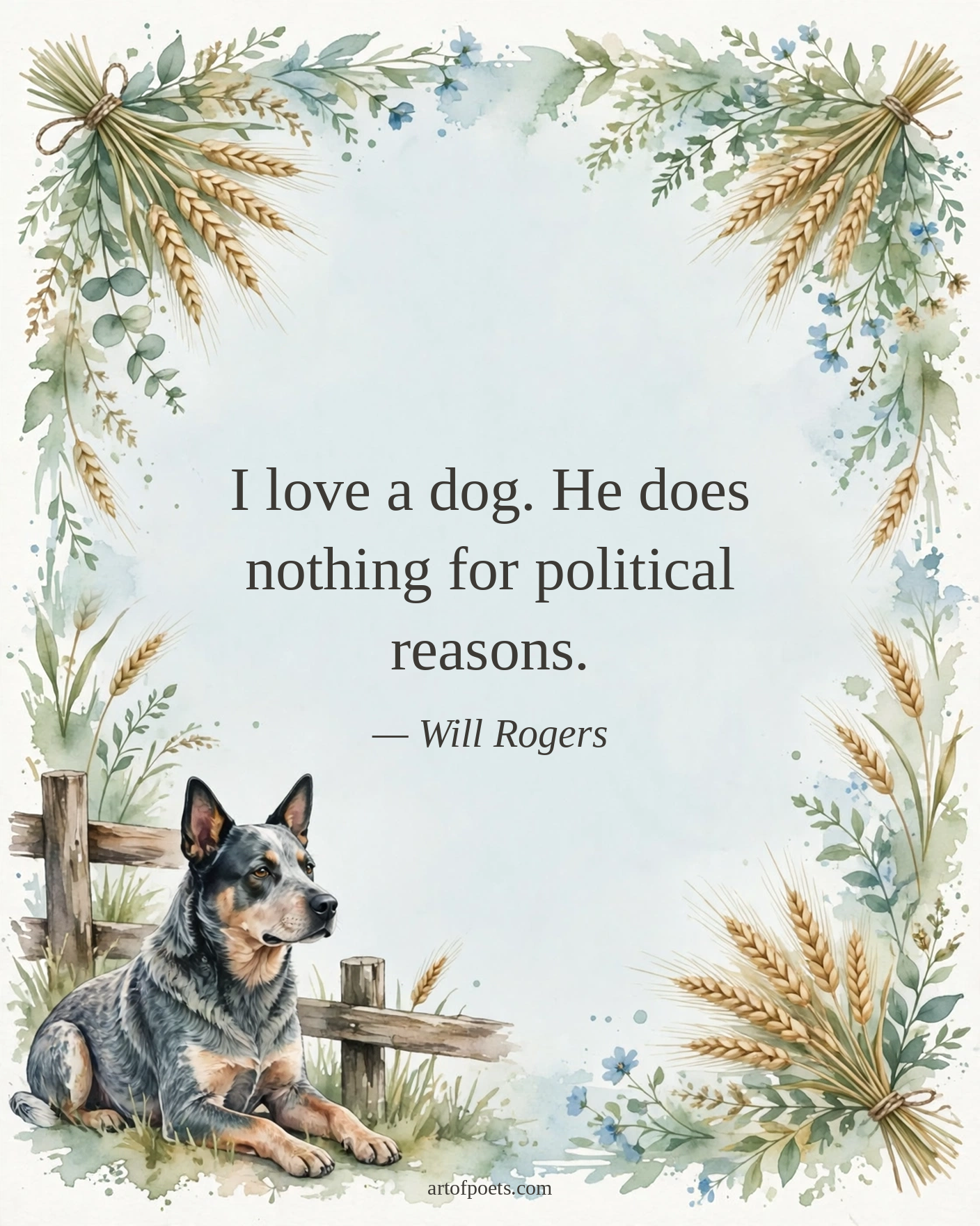 Dog quote